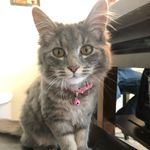 jordan conrad - @jordanconrad2008 - Instagram