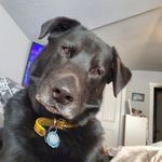 Jordan Cornwell - @jm_cornwell - Instagram