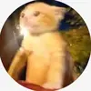Jordan - @jordan_cummings_ - TikTok