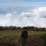 DnzzJordn - @danz_jordan - Instagram