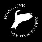 Jordan DeGroot - @fowl_life_photography_ - Instagram