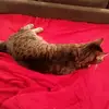 Jordan Devries - @jordan.devries - TikTok