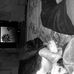 Jordan Doran - Facebook