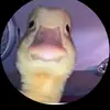 JordanDuck22 - @jordanduck230 - TikTok