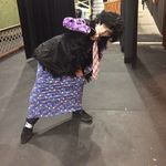 Jordan Easter - @costume.baby.sewing - Instagram