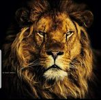 Jordan Edson - Facebook