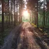 Jordanela - @jordanela97 - TikTok