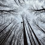 Jordan Everts - @jordan_everts - Instagram