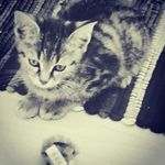 jordan faust - @faustjordan - Instagram