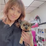 Jordan Flint - @dogbeautybyjordan - Instagram