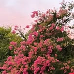 jordan folk - @irishtoast - Instagram