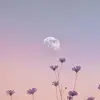 Jordan Friend - @jordan.friend7 - TikTok