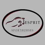 Jordan Good - @espritsporthorses - Instagram