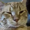 Jordan - @jordan.good19 - TikTok