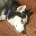 Jordan - @jordan.good3 - Instagram