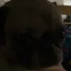 jordangunter2 - @jordangunter2 - TikTok