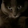 Jordan Harwell - @jordan.harwell6 - TikTok