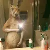 Heber Jordan - @heberjordan600 - TikTok