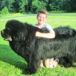 Jordan Hebert - @jordan_hebert23 - Instagram