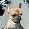 Jordan - @jordanhebergg - TikTok