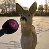 jordan.hebert - @jordan.hebert - TikTok