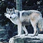 Jordan Helms - @heaven_keper50 - Instagram