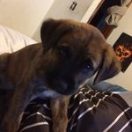 Jordan Henley - @jordan_henley_17 - Instagram