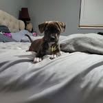 Jordan Holifield - @jordan_holifield - Instagram