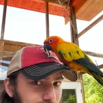 Jordan Hulsey - @jordanhulsey05 - Instagram