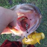 jordan jarrell - @epic_fisherman6242 - Instagram