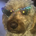 Jordan Jayne - @crankypidgeon - Instagram