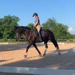 Jordan Joiner - @midnightlillydressage - Instagram