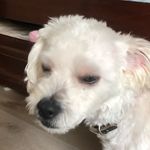 Jordan Kang - @jordan__kang - Instagram