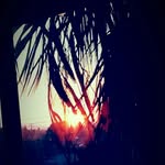 Jordan Krall - @jordankrall1 - Instagram