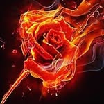 Jordan kyle Rosenberg - @jordan_rose3712 - Instagram