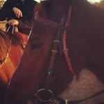 jordan lay - @jordan_lay_101 - Instagram