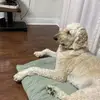 jordan lin - @jordan.lin7 - TikTok