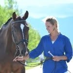 Jordan Linstedt Eventing - @jordan.linstedt.eventing - Instagram