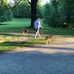 Jordan Liu - Facebook