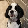 Jordyn Loya - @jordynloya - TikTok
