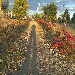 Jordán Lucero - @jordan_lucero_marquez7 - Instagram