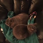 Jordan Ludwig - @flames_go_go - Instagram
