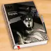 Jordan Ludwig - @jordanludwig8 - TikTok