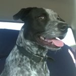 jordan lumpkins - @mrlumpkins - Instagram