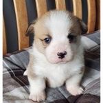Jordan Major - @jordan.major.33821 - Instagram
