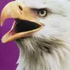 malcolmjordan1411 - @malcolmjordan1411 - TikTok