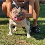 Jordan Mayes - @mayes914 - Instagram