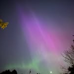 Jordan Mccarty - @jdut2008 - Instagram