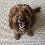 Jordan Merrick - @merrickmagic - Instagram