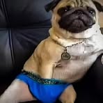 Jordan Marroquín - Facebook